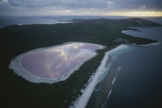 Lake Hillier ist der einzige rosafabene See auf der Welt
