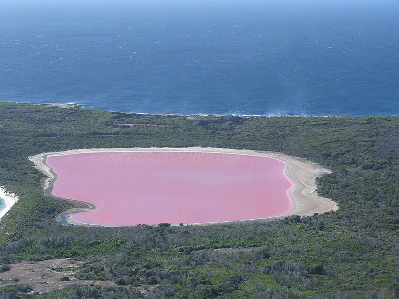 The pink coloured water of Lake Hillier photo: Aussie Oc, ccbysa.40
