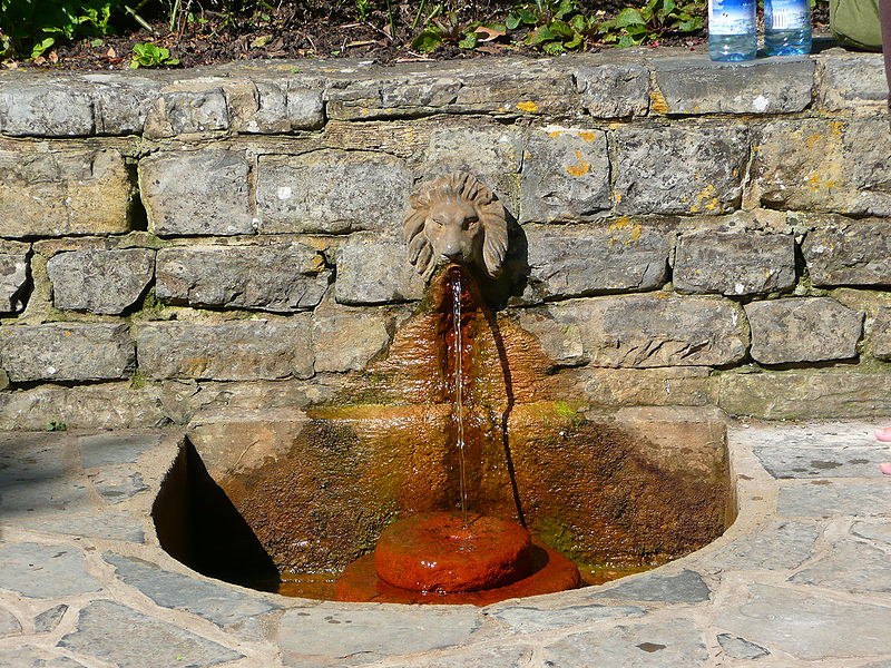 Lion`s Head Fountain at Chalice well
