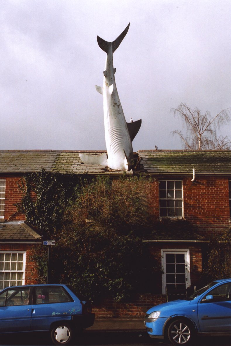 The Headington Shark sculpture is located in the combination of earth sign Taurus with fire sign Leo photo Henry Flower, GNU/FDL