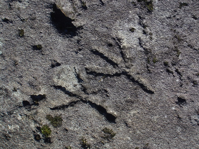 Crow feet at Carshenna rock carvings located in Sagittarius with Leo