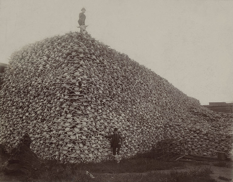 Back to the roots of the American Way of Life: Bison Skull Pile in the 1870ies. 
