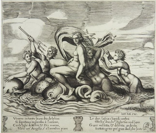 Venus und die Delphine
