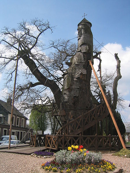 Read more about the article Le Chêne Chapelle – The Chapel Oak in astrogeography